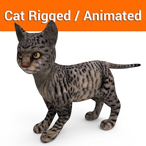 cute cat rigged animated model