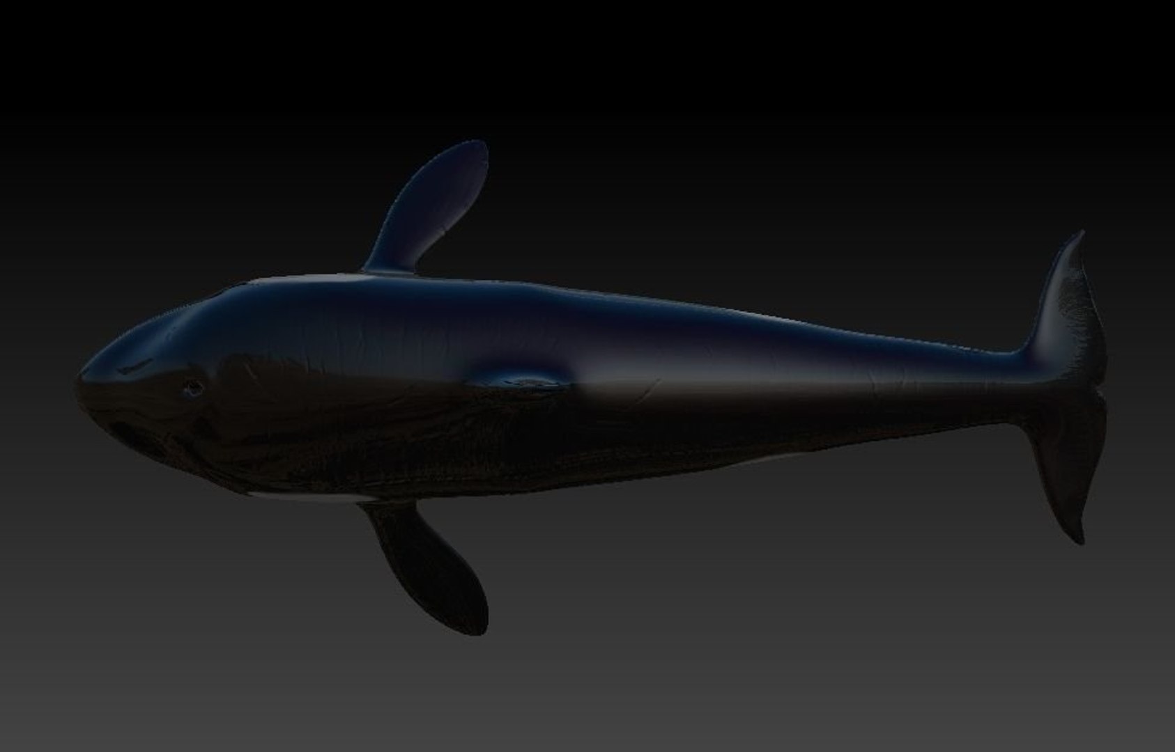3D Rigged Orca Model - TurboSquid 1389543