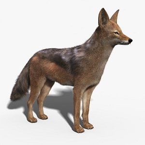 jackal fur 3d max
