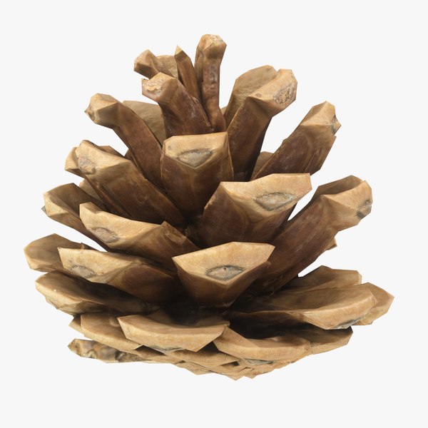 10 pcs Antiqued Silver Pine Cone Charms Tiny Silver