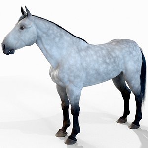 3D horse fur