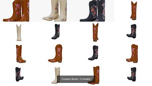 Cowboy Boots model