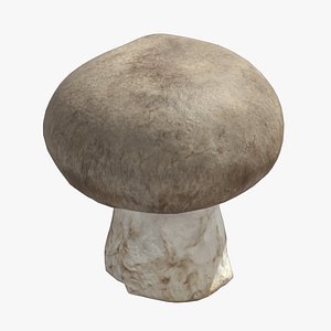 3D Fresh Mushroom 01 Low Poly model