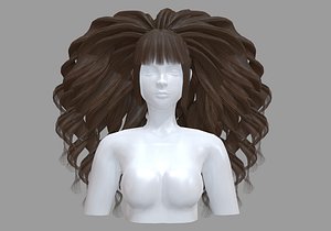 Thick Curly Hairstyle