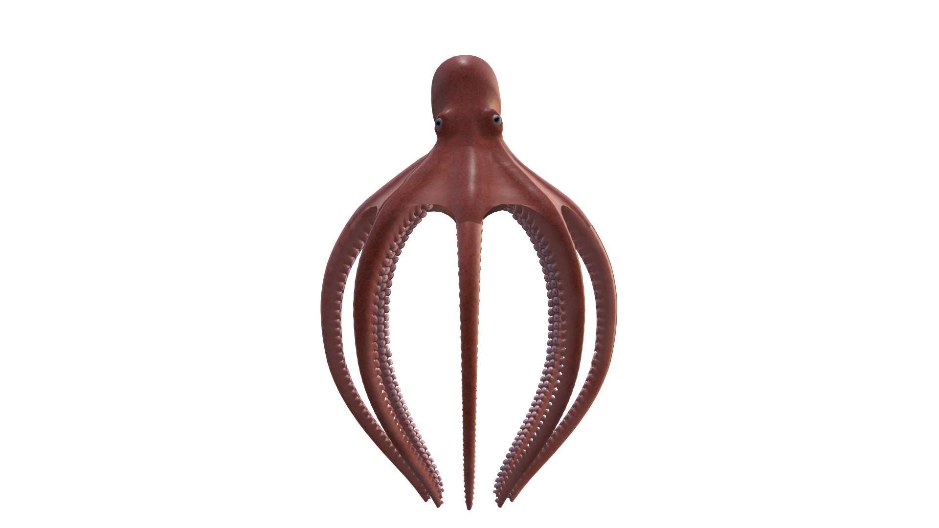 3D Model Giant Pacific Octopus 3D Model - TurboSquid 2311804