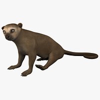 Kinkajou Pose 2
