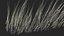 Eyebrows Shapes Set