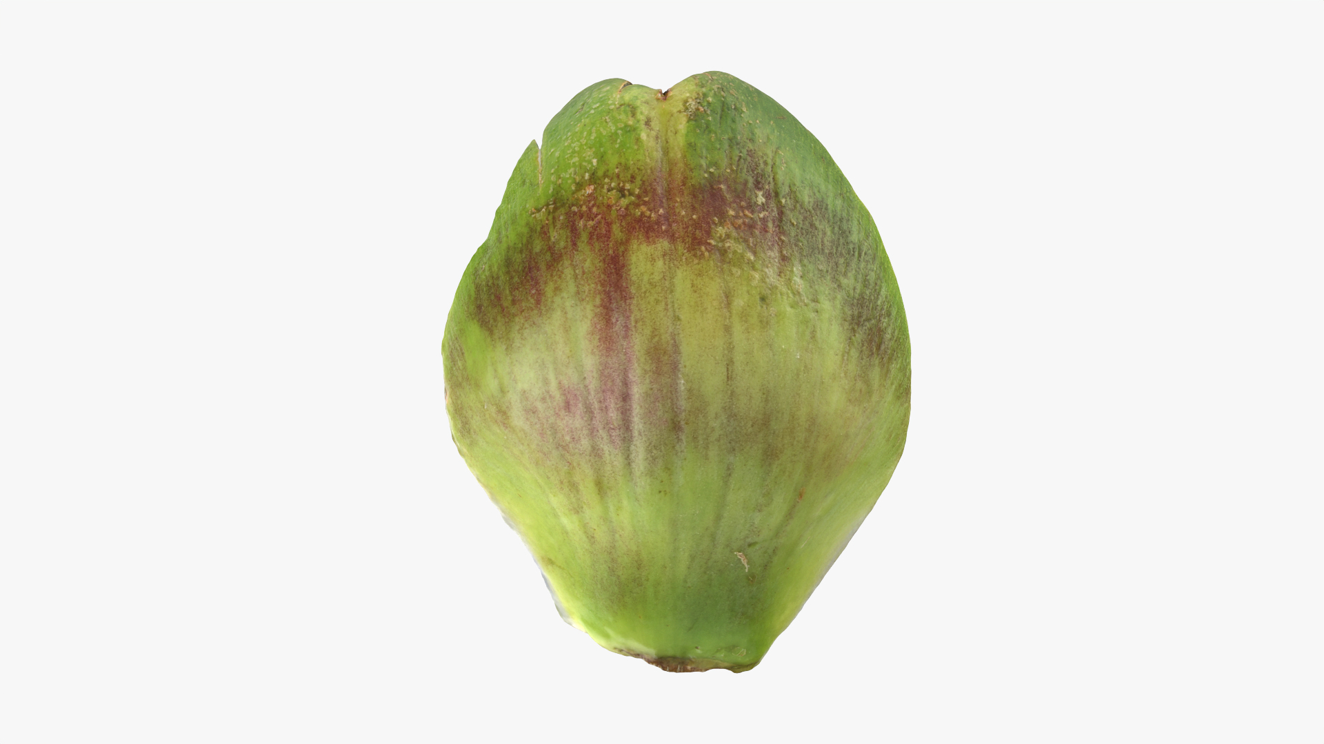 Artichoke Leaf 02 3D model https://p.turbosquid.com/ts-thumb/sA/x134Nb/WJ/artichokeleaf02/png/1760096851/1920x1080/turn_fit_q99/2ccb0efc97abc5cfa99d9d9701b3bc211a5e848b/artichokeleaf02-1.jpg