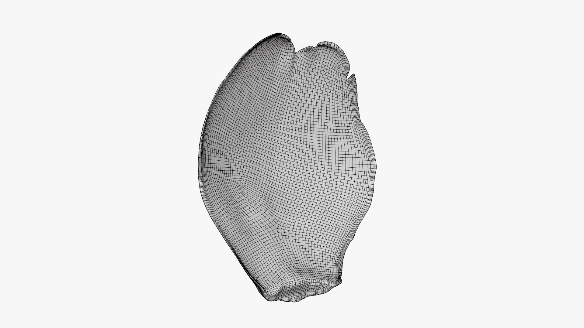 Artichoke Leaf 02 3D model https://p.turbosquid.com/ts-thumb/sA/x134Nb/ZX/artichokeleaf02_d0004/png/1759918382/1920x1080/fit_q87/8d3d2bda491691f297b09056940aa09ca4ce6b5f/artichokeleaf02_d0004.jpg