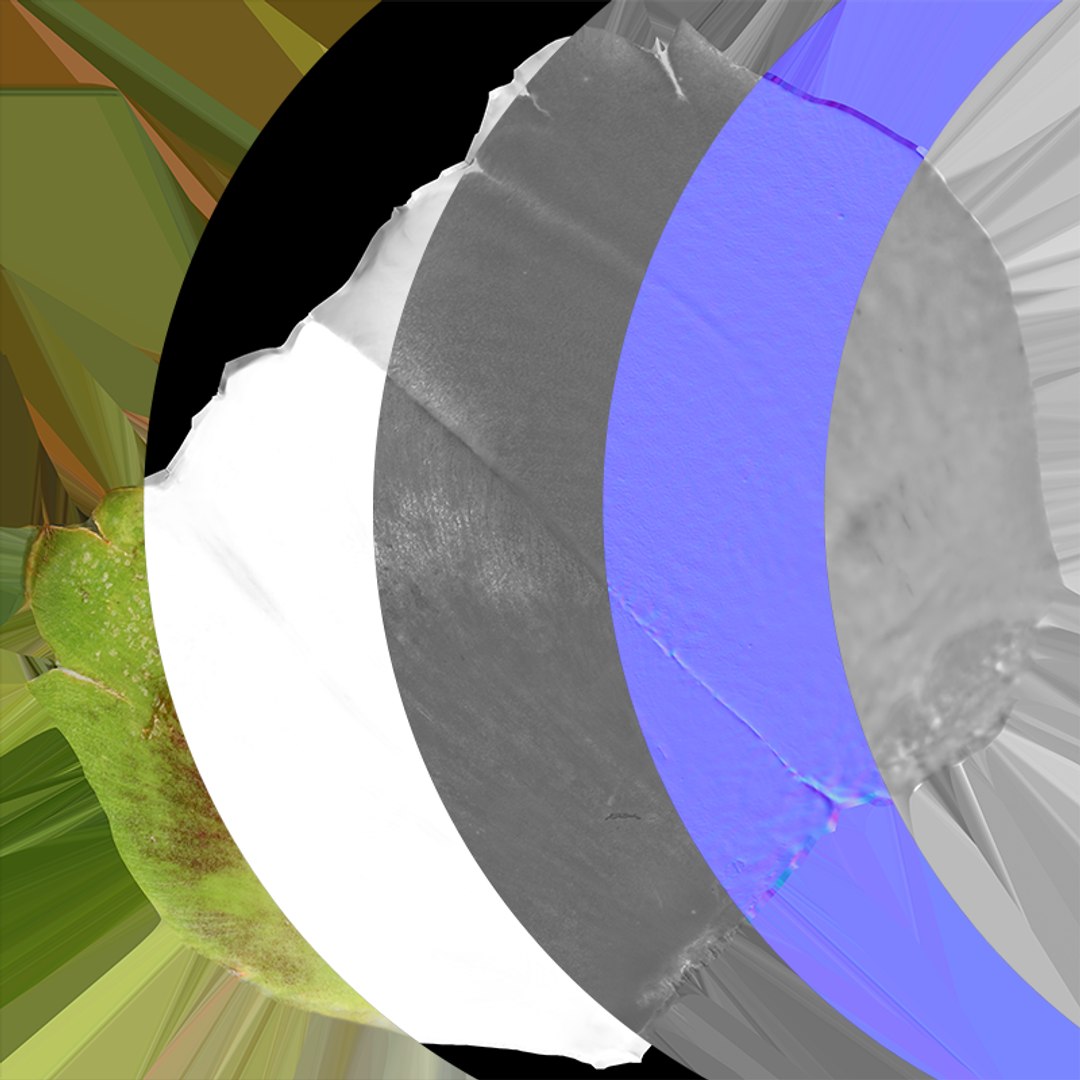 Artichoke Leaf 02 3D model https://p.turbosquid.com/ts-thumb/sA/x134Nb/ry/artichokeleaf02_c0005/png/1759918379/1920x1080/fit_q87/67b04e50090fbbab6fb1b5bb9ffba3a0e7ecc40d/artichokeleaf02_c0005.jpg