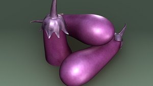 Brinjal_Solanum melongena