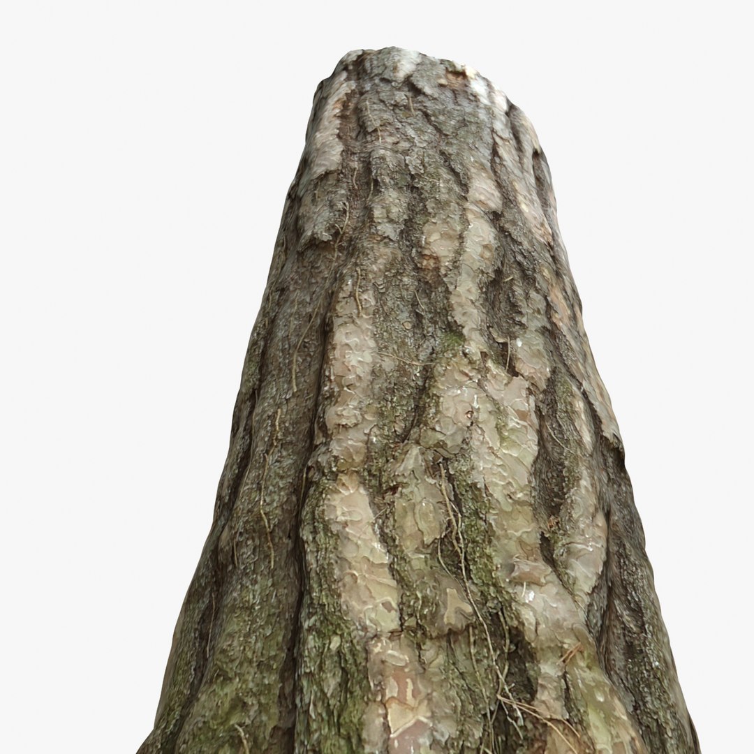 tree stump 14 max https://p.turbosquid.com/ts-thumb/sB/JskN7G/2xVleYHn/3/png/1430411161/1920x1080/fit_q87/e97be67f5602ffdbcea6b73d26af6d282e007add/3.jpg