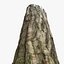 Tree Stump 14
