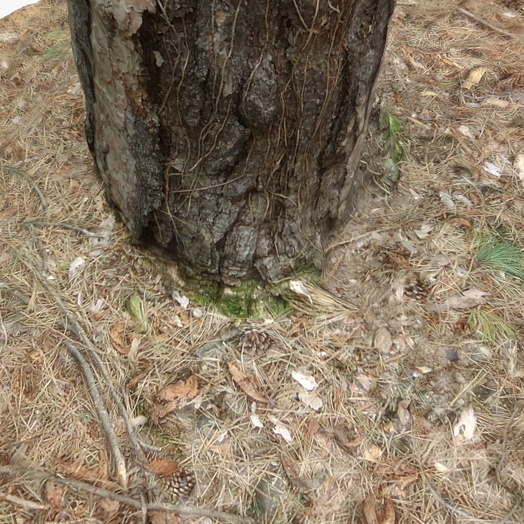 tree stump 14 max https://p.turbosquid.com/ts-thumb/sB/JskN7G/LXrg2IWf/2/png/1430411161/1920x1080/fit_q87/1315e9e0994efff201b8ca9a19c6c4b5ed919180/2.jpg