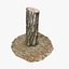 Tree Stump 14