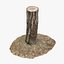 Tree Stump 14