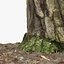 Tree Stump 14