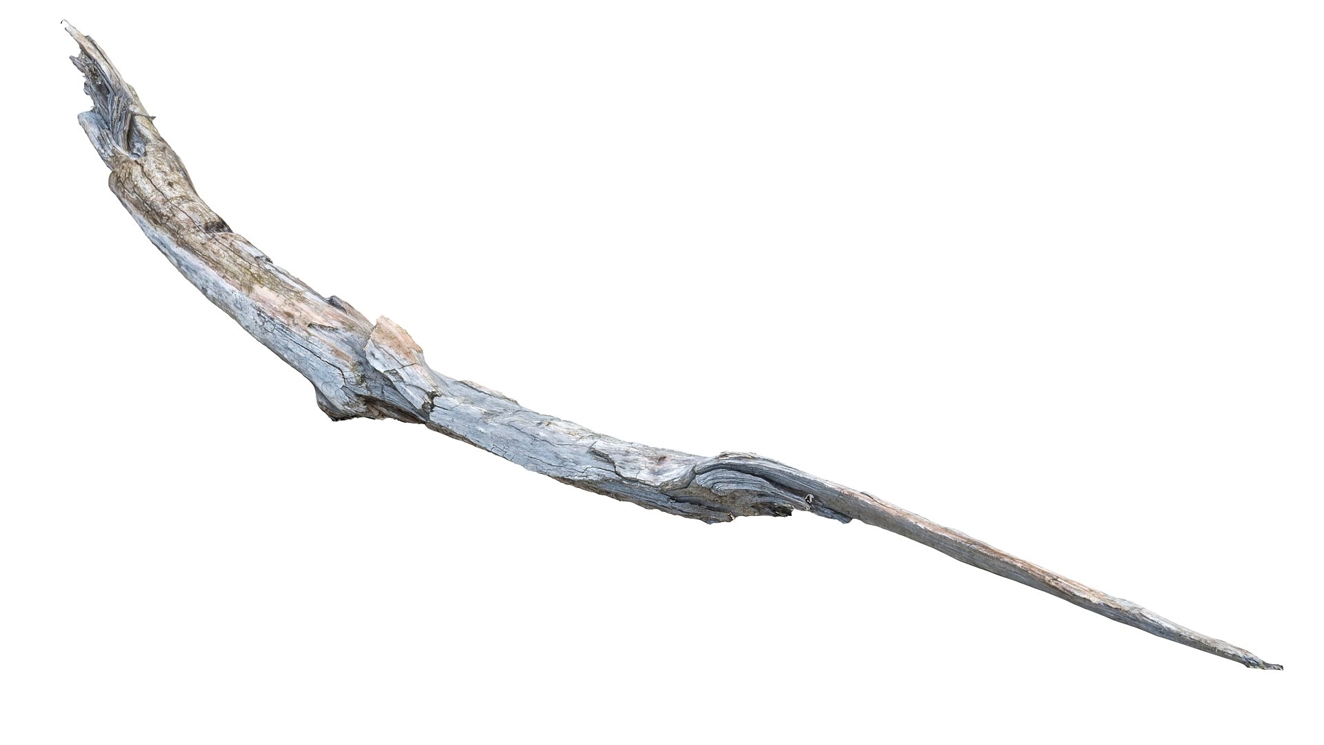 3d scanned 45 packed https://p.turbosquid.com/ts-thumb/sB/Pvy1qt/NhcjxEoL/67878899/jpg/1477420457/1920x1080/fit_q87/59d50052416736b2f47e44c50a9e06f4efc5c48b/67878899.jpg