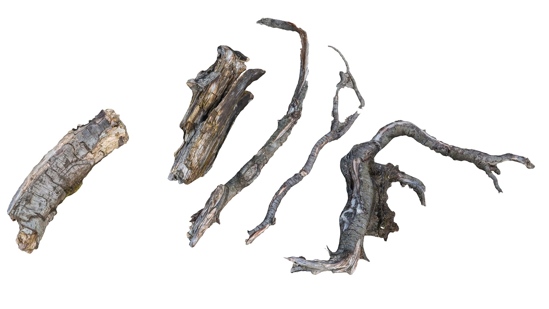 3d scanned 45 packed https://p.turbosquid.com/ts-thumb/sB/Pvy1qt/TEPT1oGi/675678789789/jpg/1477420457/1920x1080/fit_q87/5cf2c8f27b1ef459de4608c1adb10fb6485eaa5f/675678789789.jpg