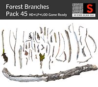Wood Branch Pack 45