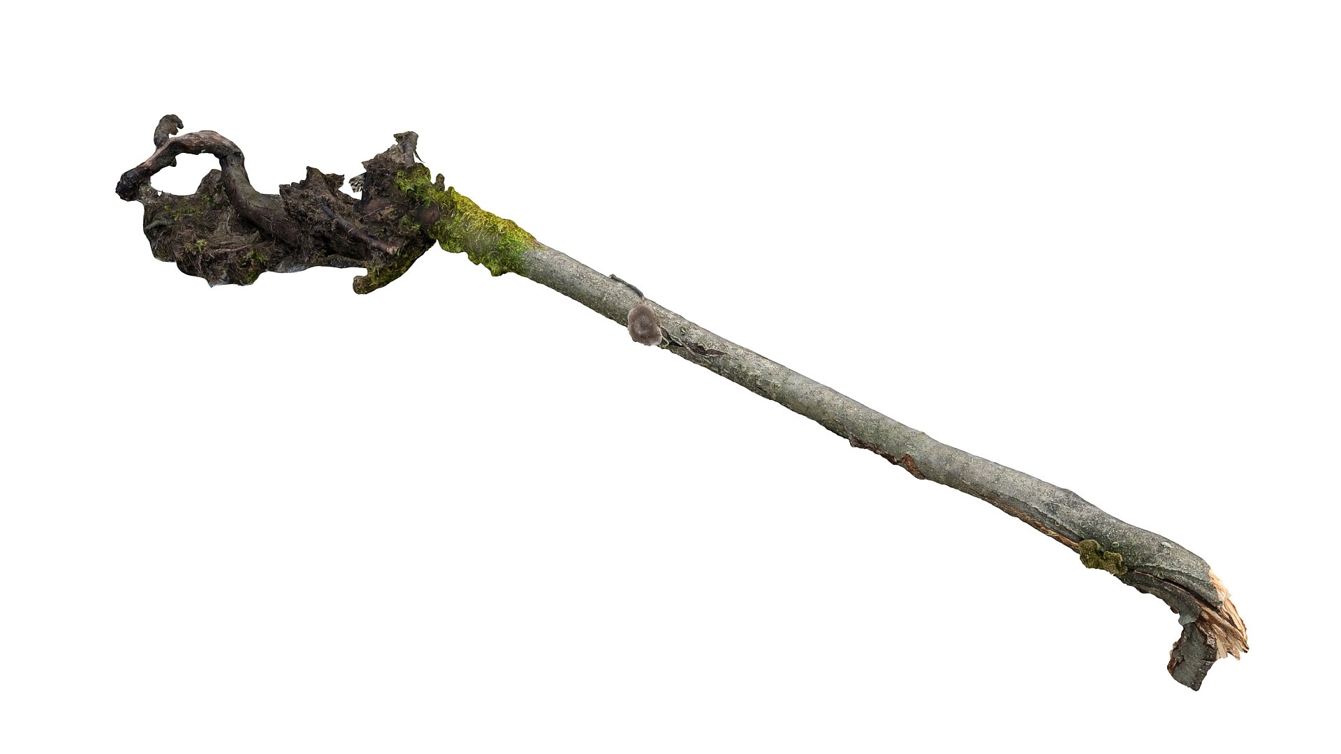 3d scanned 45 packed https://p.turbosquid.com/ts-thumb/sB/Pvy1qt/rg4sgPQU/56457768/jpg/1477420457/1920x1080/fit_q87/0e1460c0e118c9c9db47cde1a9027c928c439323/56457768.jpg