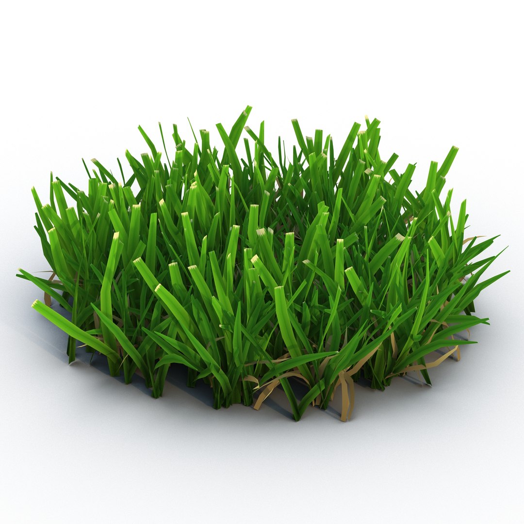 Grass 5 3D model preview