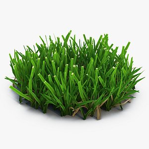 3d grass 5 model