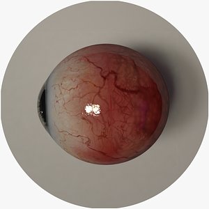 3D Google Eyes Set - TurboSquid 1769346