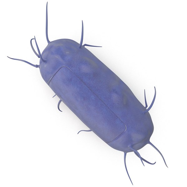 3d bacillus