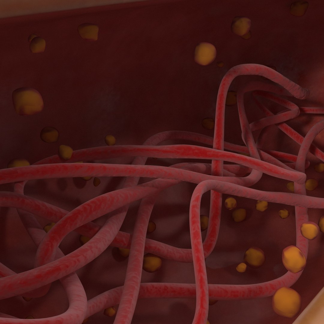 3d bacillus https://p.turbosquid.com/ts-thumb/sB/VZq1sw/AfHKMA5p/bacillus_170/jpg/1395714852/1920x1080/fit_q87/25f88359f15348a76cfbde4d50d21561a1dcc762/bacillus_170.jpg