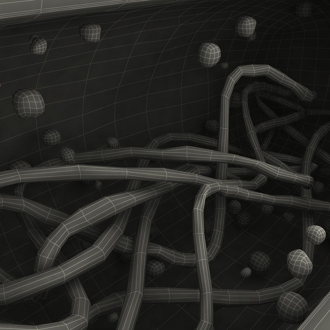 3d bacillus https://p.turbosquid.com/ts-thumb/sB/VZq1sw/BeEArgcA/bacillus_178/jpg/1395714883/1920x1080/fit_q87/87864a46ef70142e3e56c6f82c8754b48165aaa1/bacillus_178.jpg
