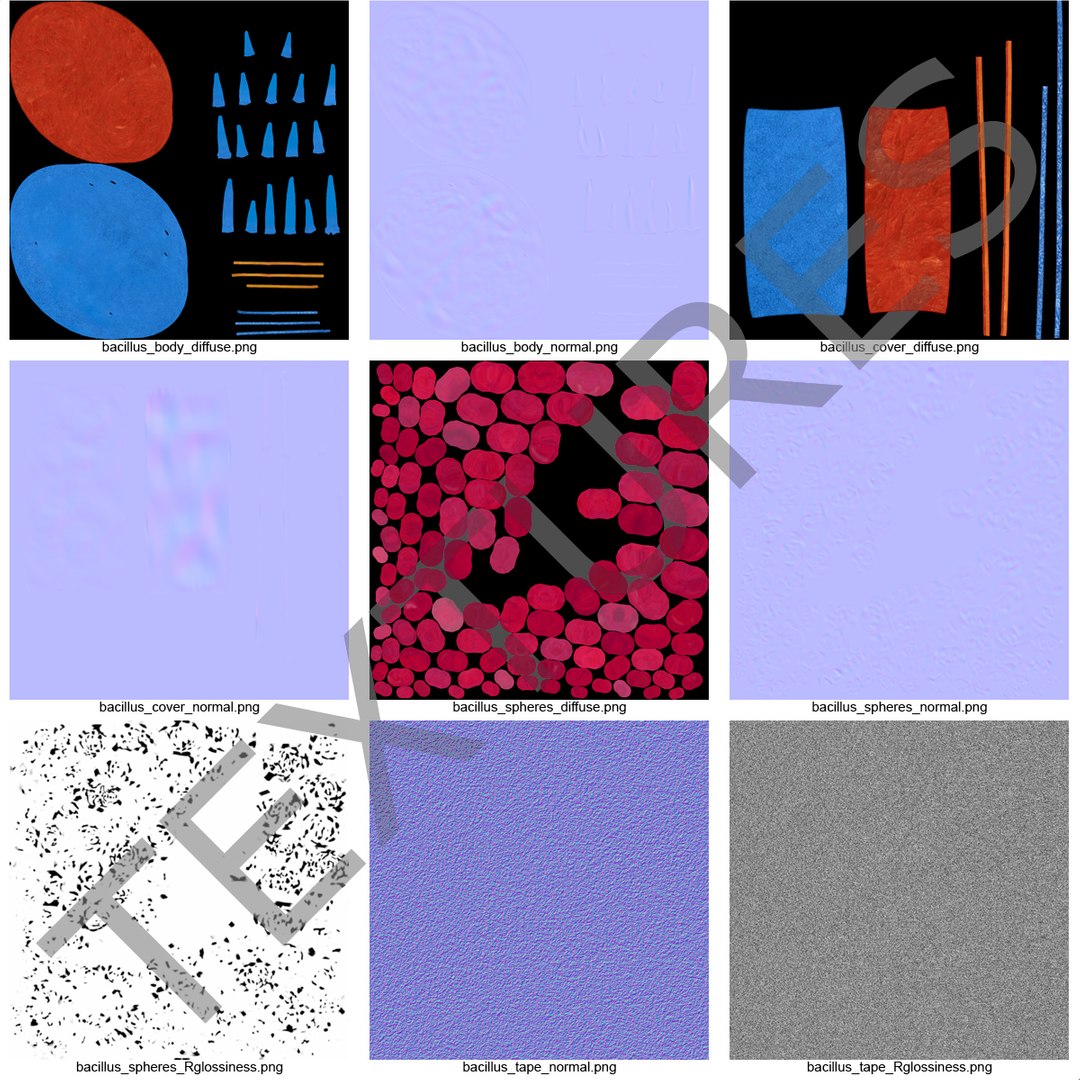 3d bacillus https://p.turbosquid.com/ts-thumb/sB/VZq1sw/rfOnRjeM/bacillus_150/jpg/1395714797/1920x1080/fit_q87/31da670e7b21de39a2cacb0a6e6b10ead74a5d40/bacillus_150.jpg