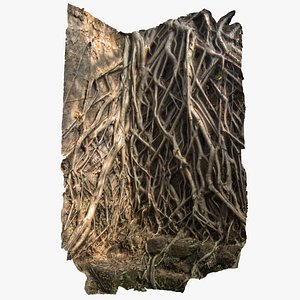 Banyan Roots Wall 3D Scan
