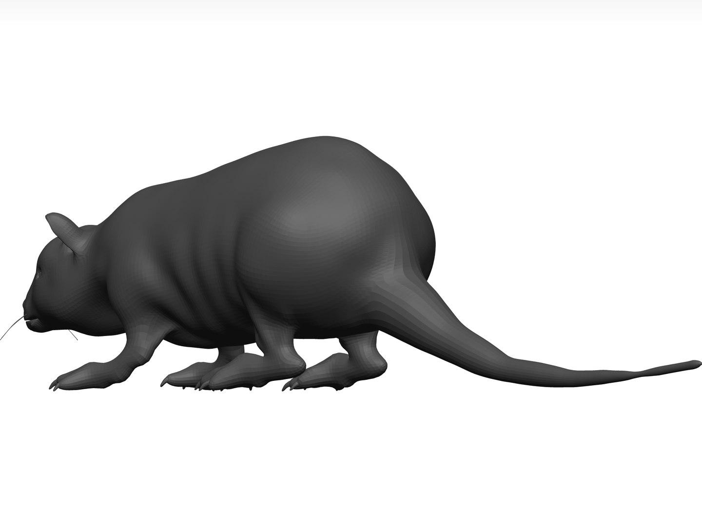 Rat Stl 3D - TurboSquid 1774289