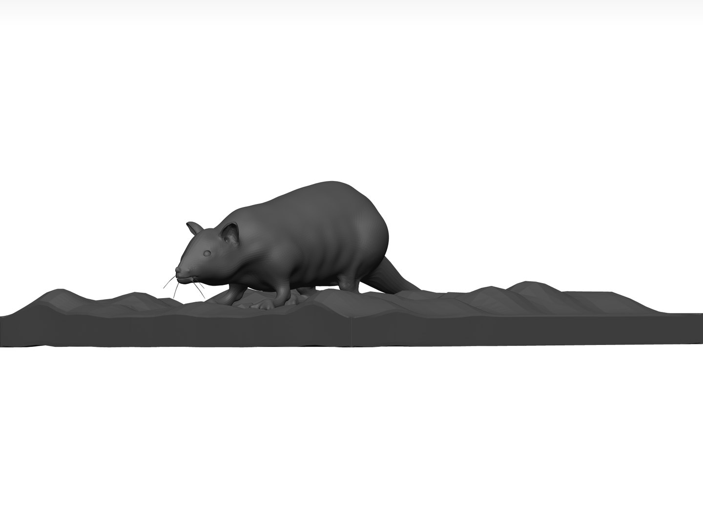 Rat Stl 3D - TurboSquid 1774289