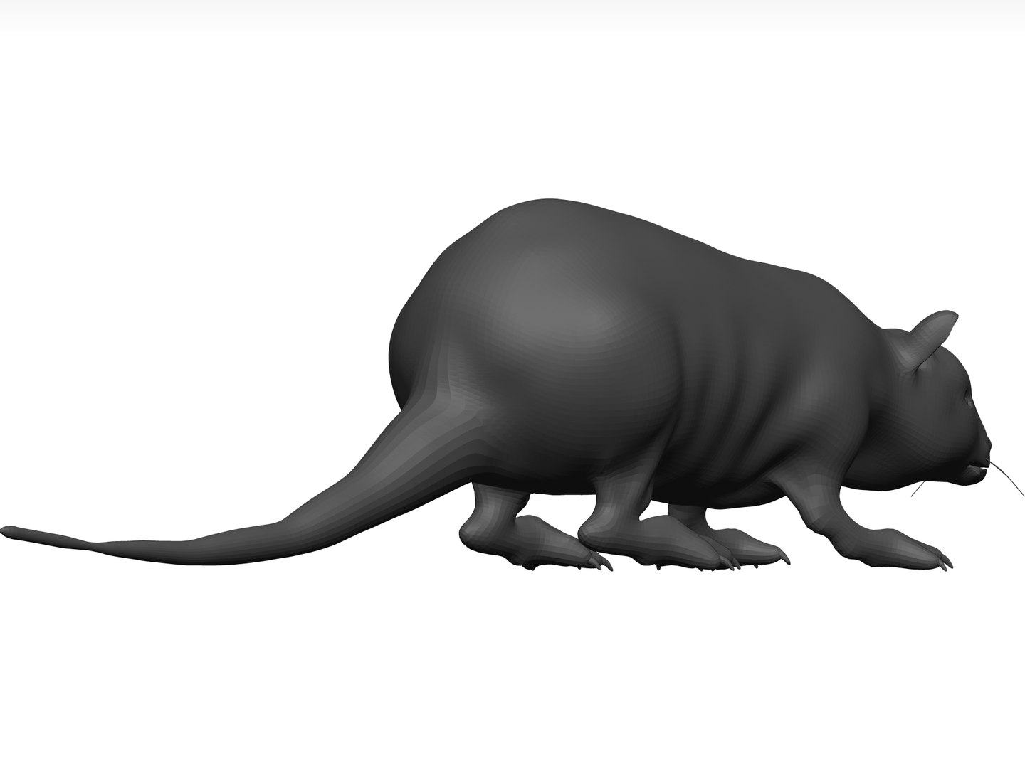 Rat Stl 3D - TurboSquid 1774289