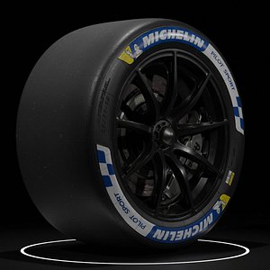 3D Michelin Pilot Sport Slick LMH model