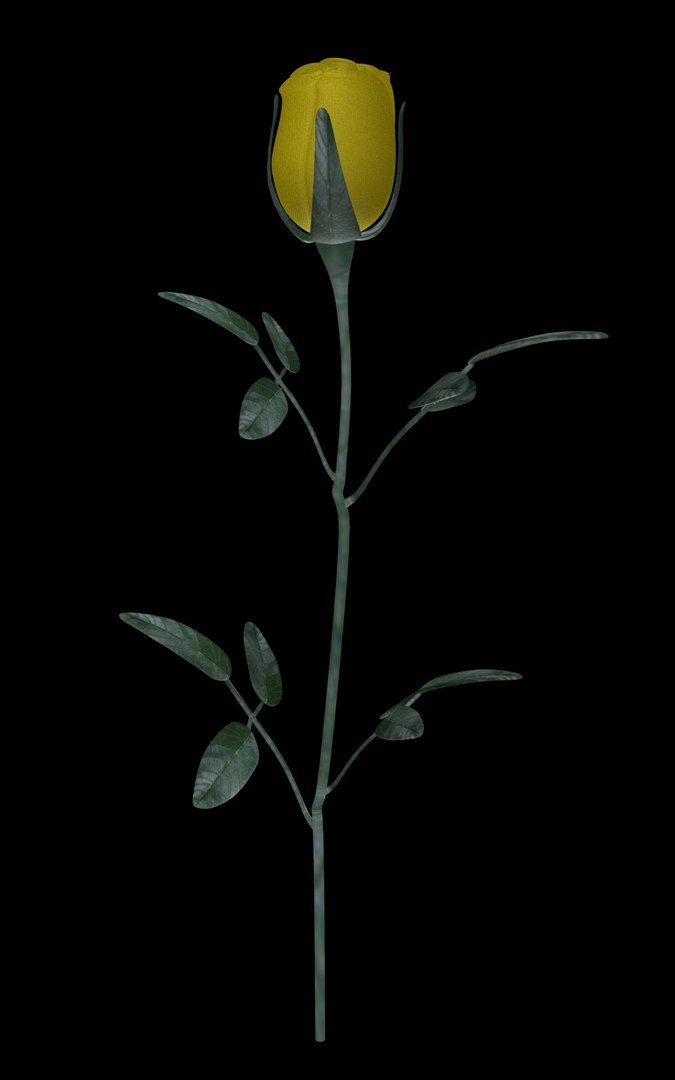 Yellow Rose 3d 3ds