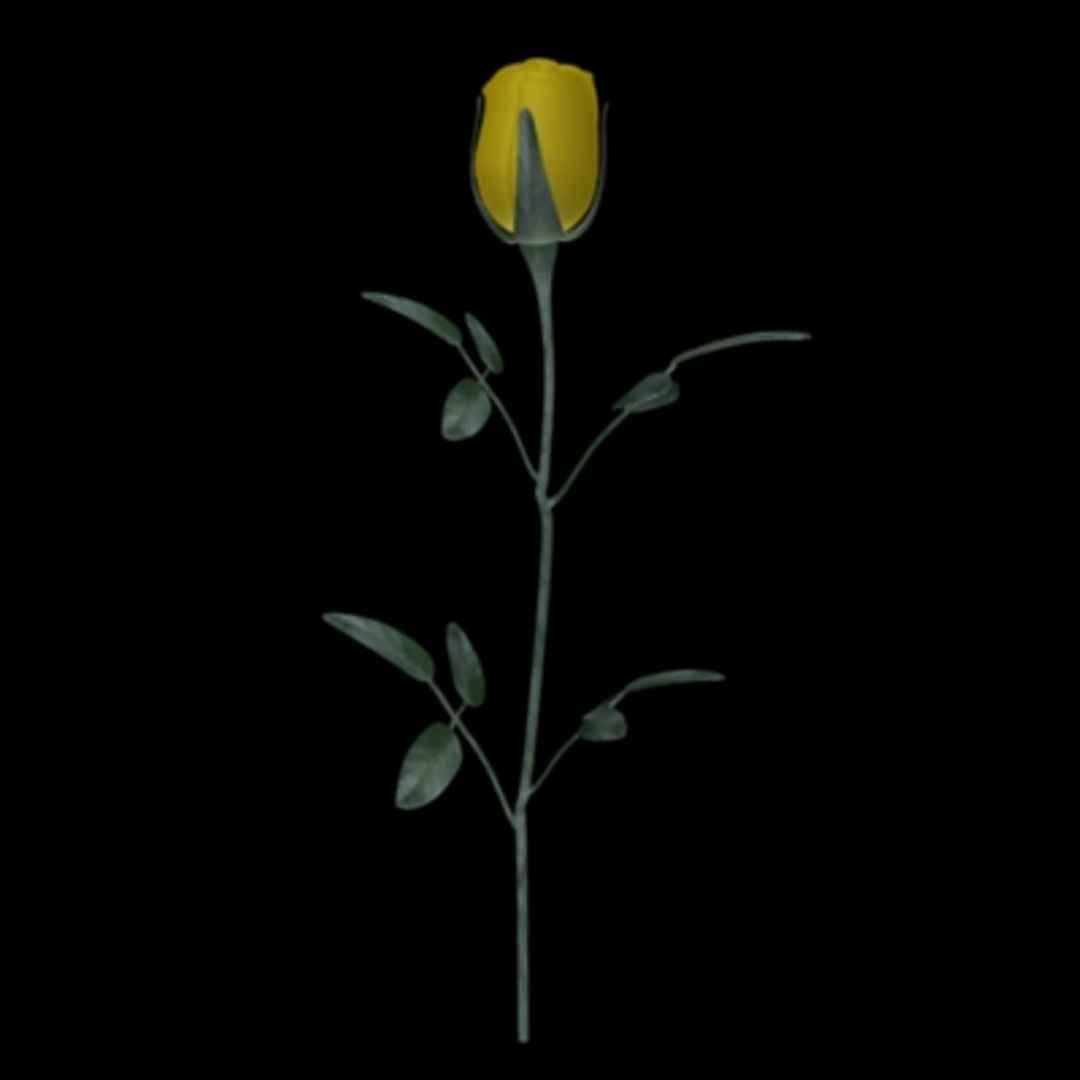 Yellow Rose 3d 3ds