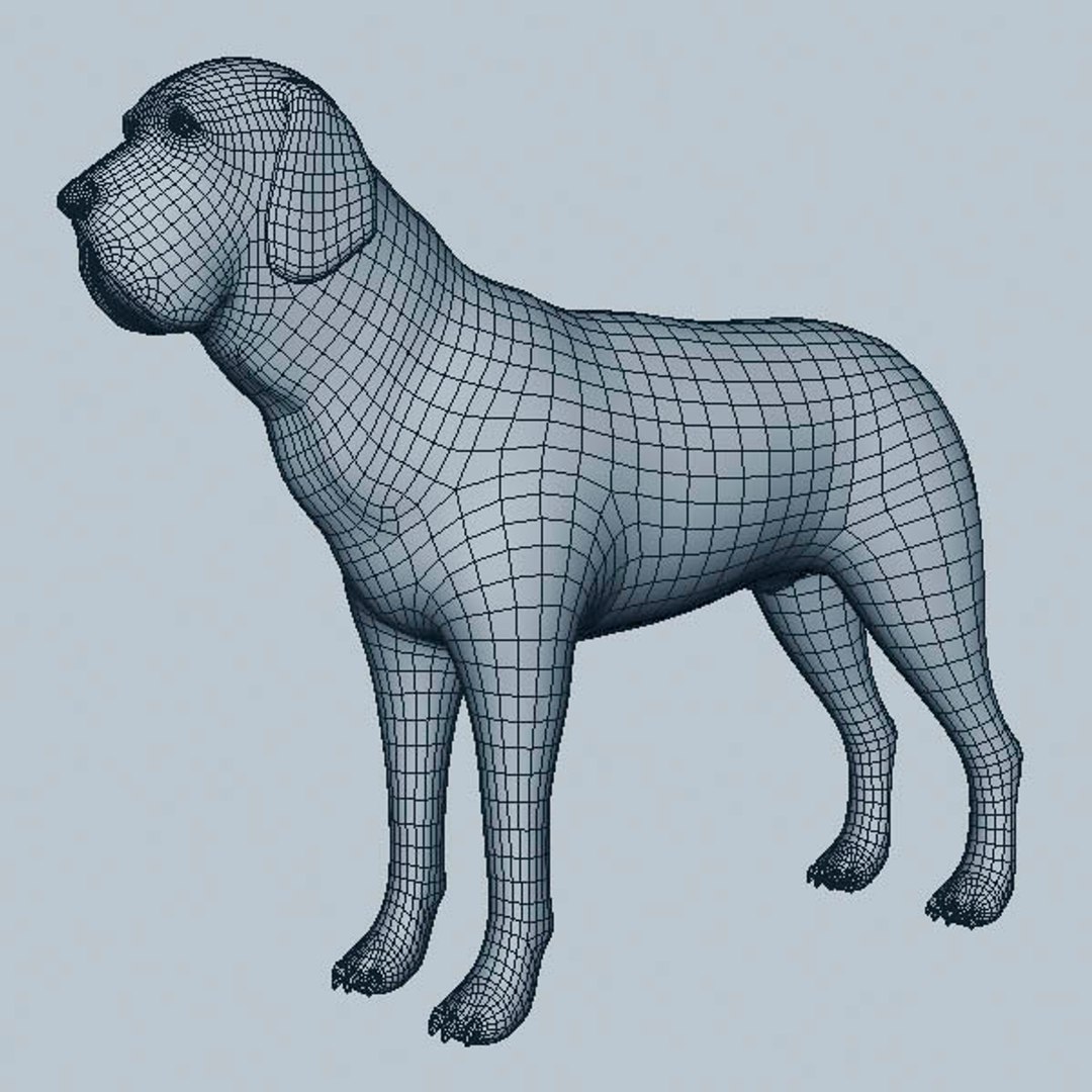 3D Fila Brasileiro Model - TurboSquid 1276974