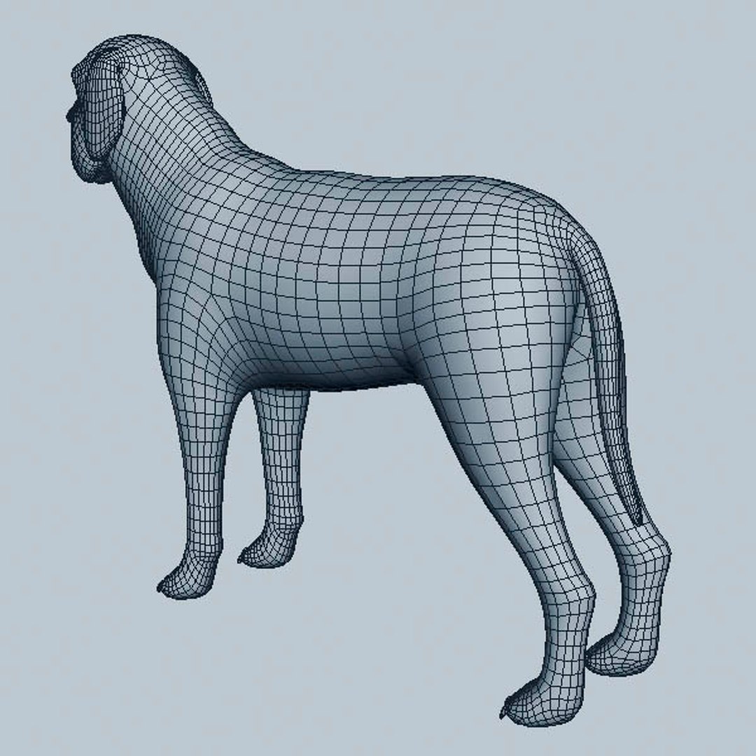 3D Fila Brasileiro Model - TurboSquid 1276974