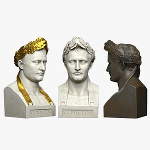Napoleon Bust