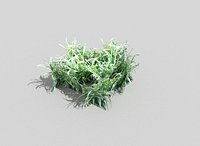 low poly tropical shrub
