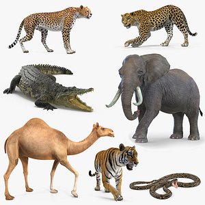 african animals rigged 4 3D model