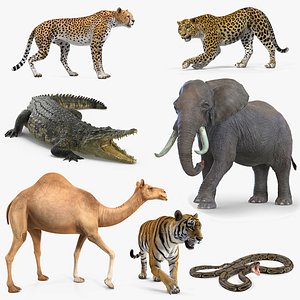 African Animals Rigged Collection 4 for Cinema 4D