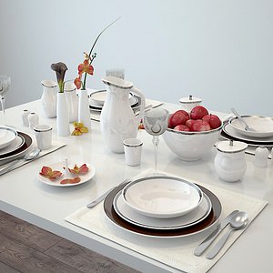 tableware 4