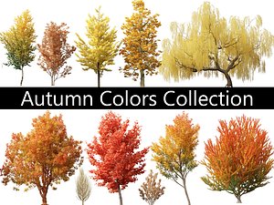Autumn Colors Collection Pack 06 3D