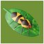 Bug avec feuille modèle 3D