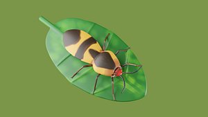 3D Bug with Leaf model