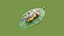 Bug avec feuille modèle 3D